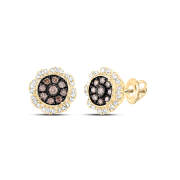 10kt Yellow Gold Womens Round Brown Diamond Cluster Earrings 5/8 Cttw